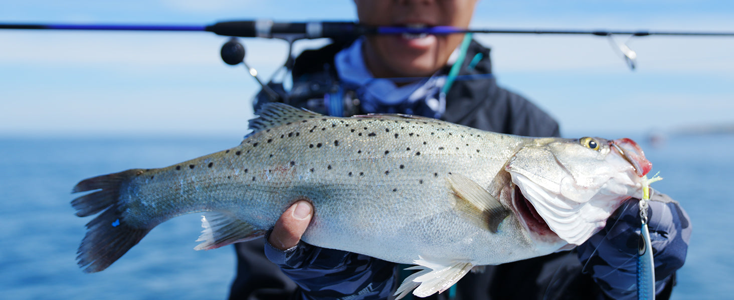 Cruiser Shadow Series Slow Jigging Rods