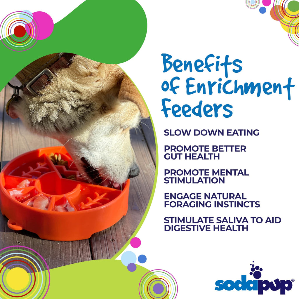 Great Outdoors Slow Feeder Dog Bowl & Enrichment | USA Made