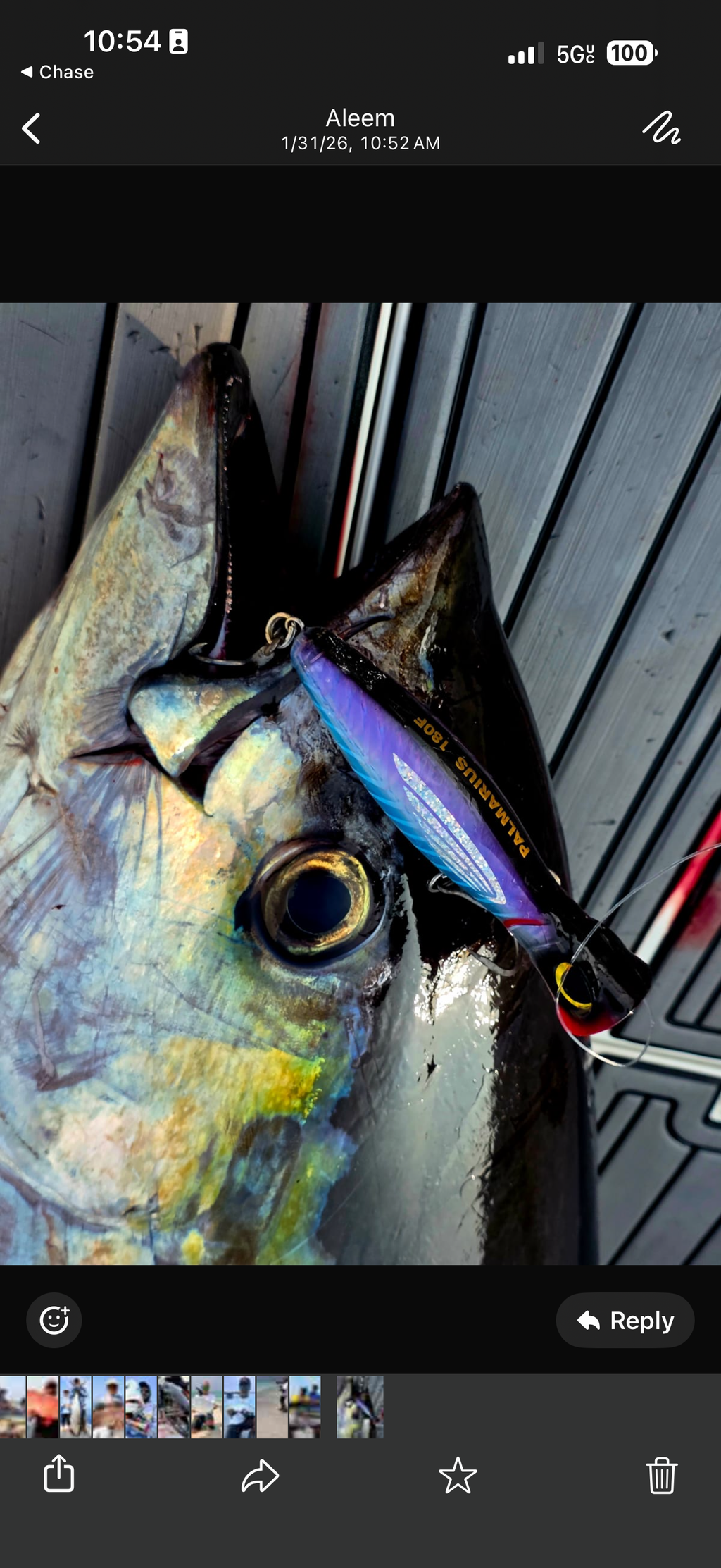Palmarius Exploder 180mm Popper (Floating)
