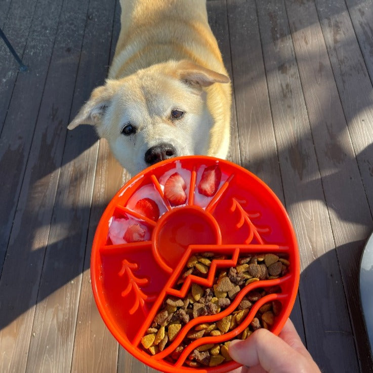 Great Outdoors Slow Feeder Dog Bowl & Enrichment | USA Made