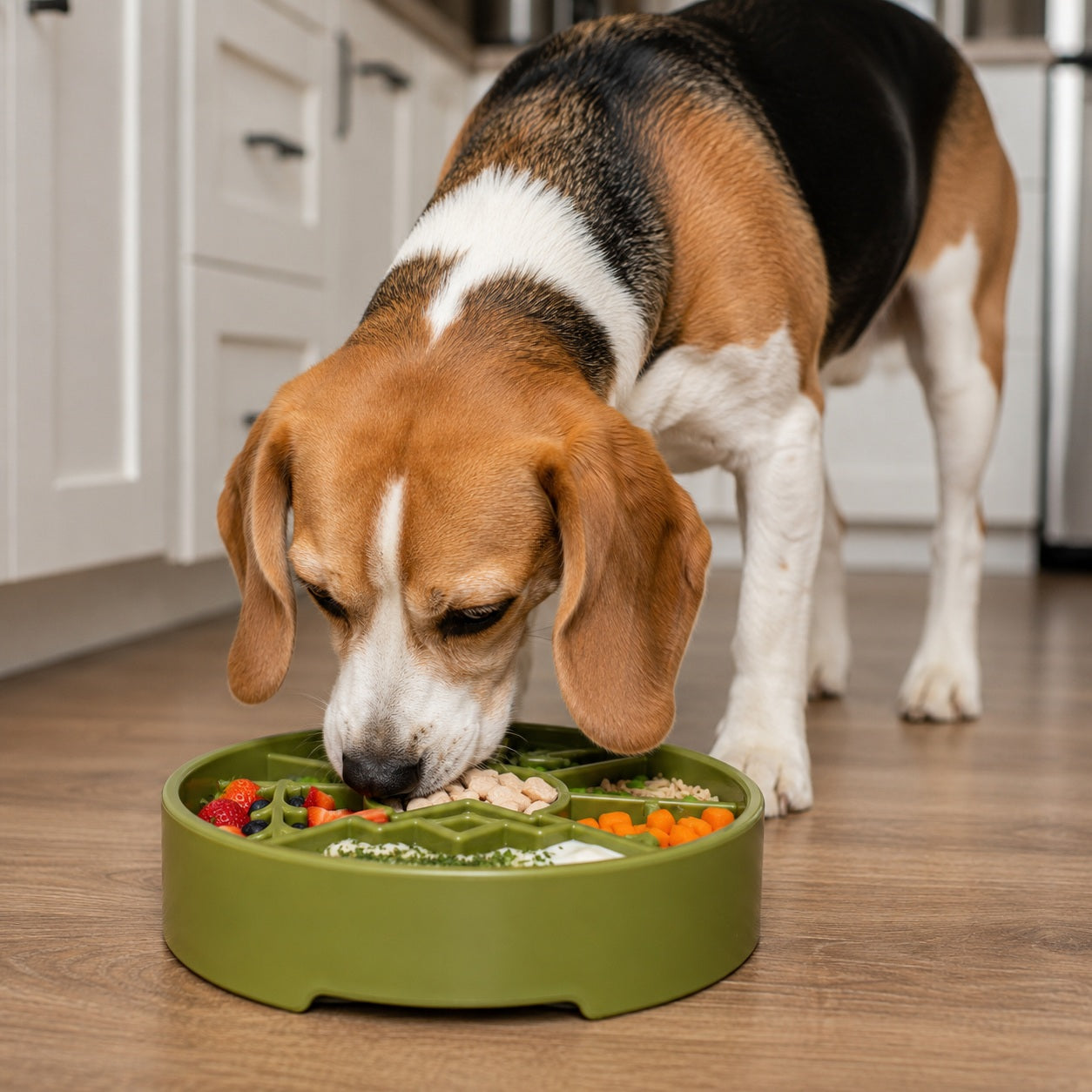 Great Outdoors Slow Feeder Dog Bowl & Enrichment | USA Made