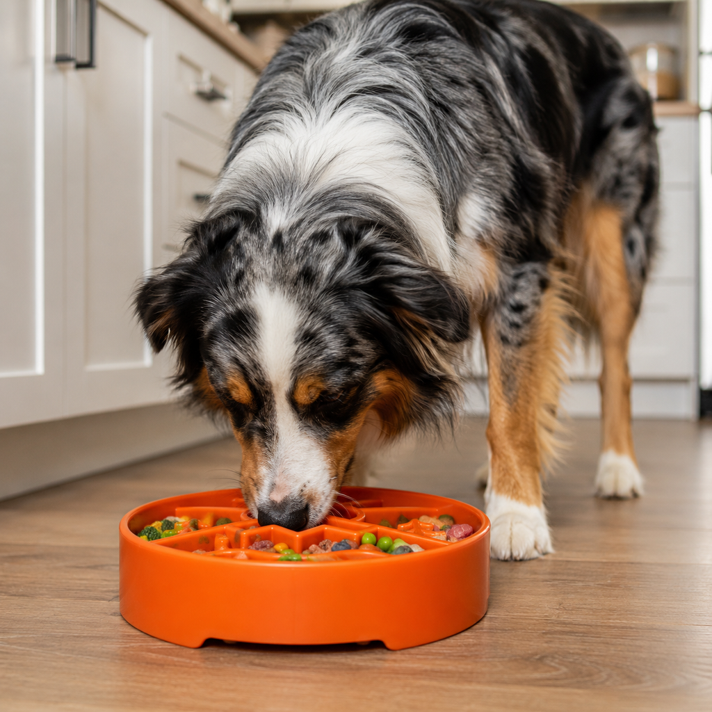 Great Outdoors Slow Feeder Dog Bowl & Enrichment | USA Made