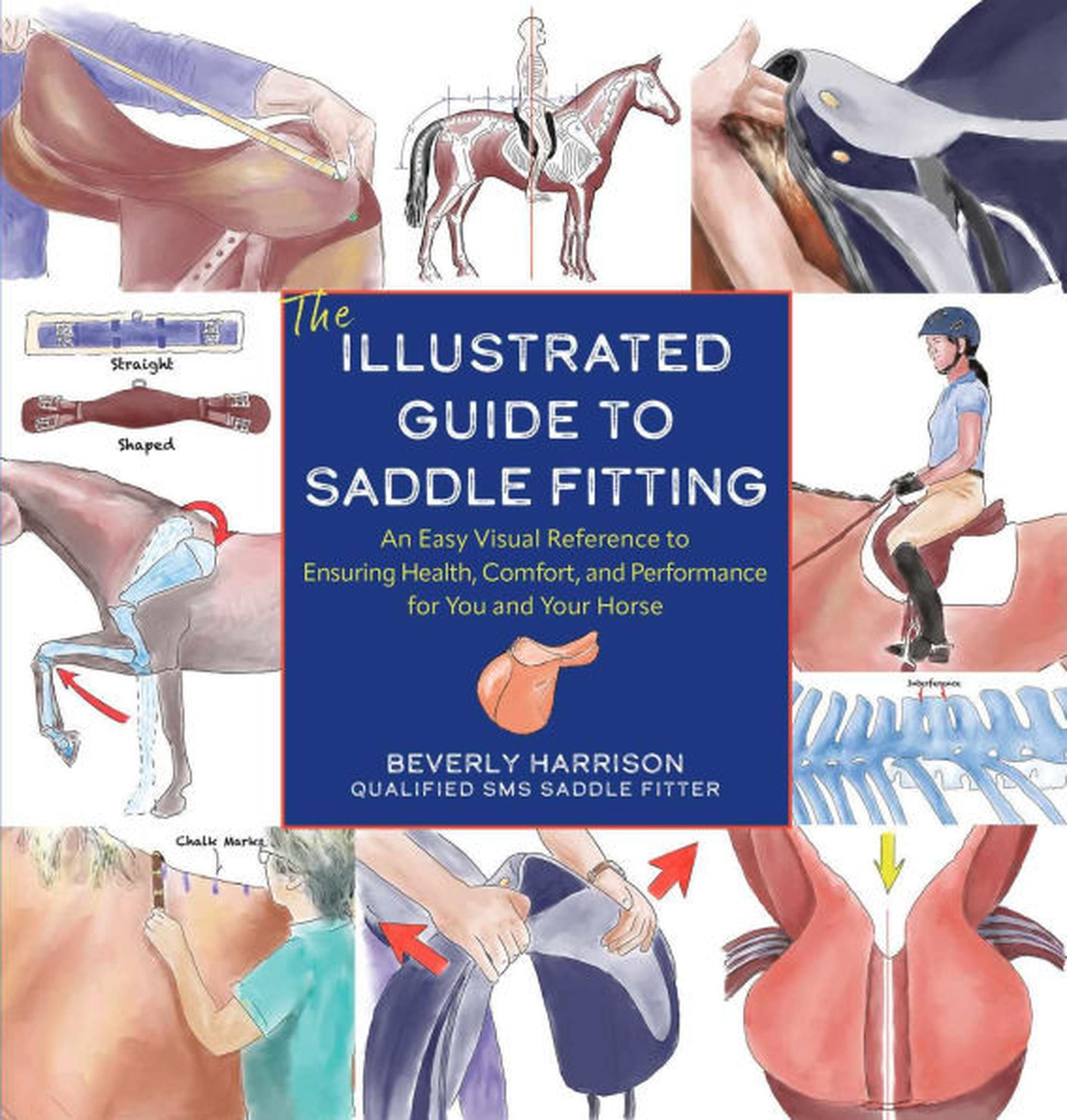 Illustrated Guide to Saddle Fitting
